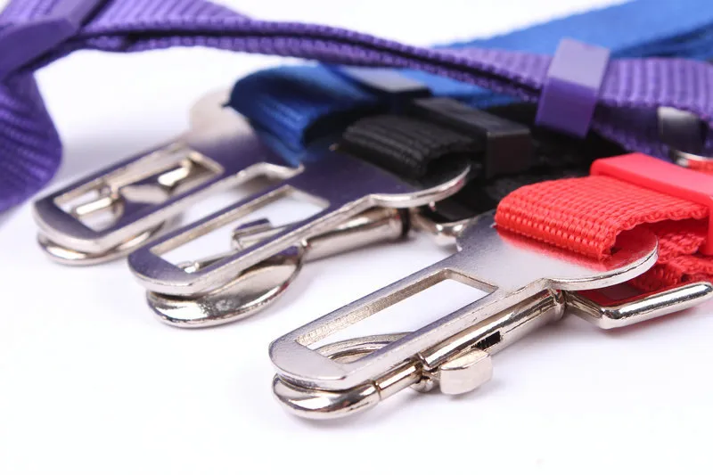 Kit 200 Cavi Jumper Per Arduino | Maschio/Maschio, Femmina/Femmina | Lunghezza 20 Cm - Foto 3