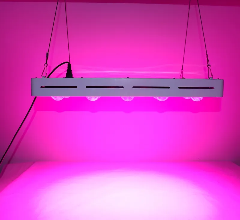 3000W COB LED Grow Light AC110V AC220V Full Spectrum 20 * 150W Чип Grow лампы Для Крытый растут палаточные Растения Цветы