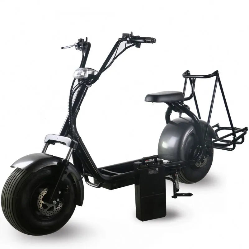 City coco 2 sales wheel electric scooter