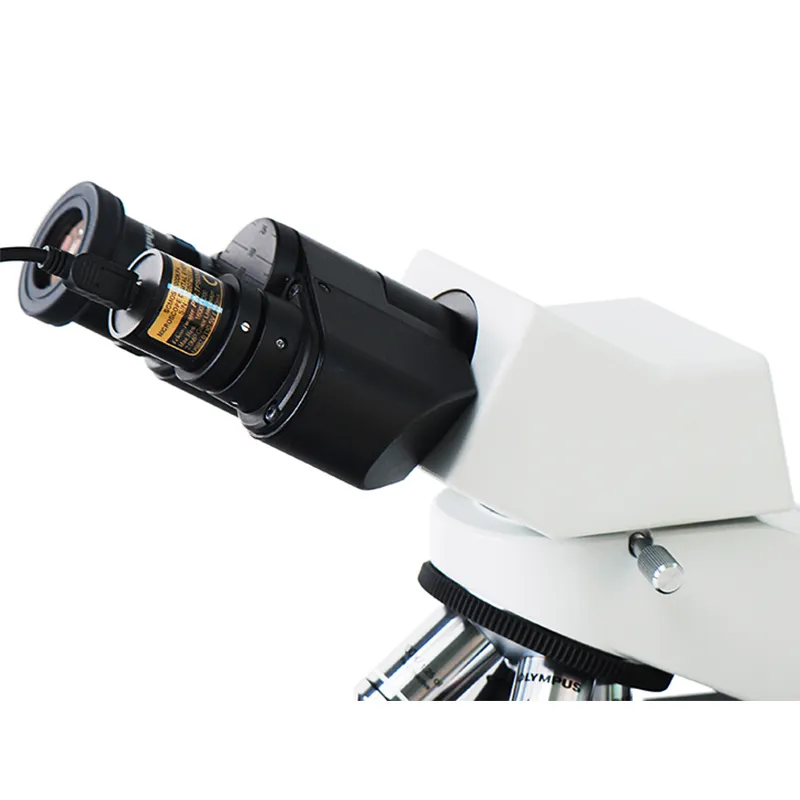 Wholesale USB Video CCD Camera Biological Stereo Microscope Image ...