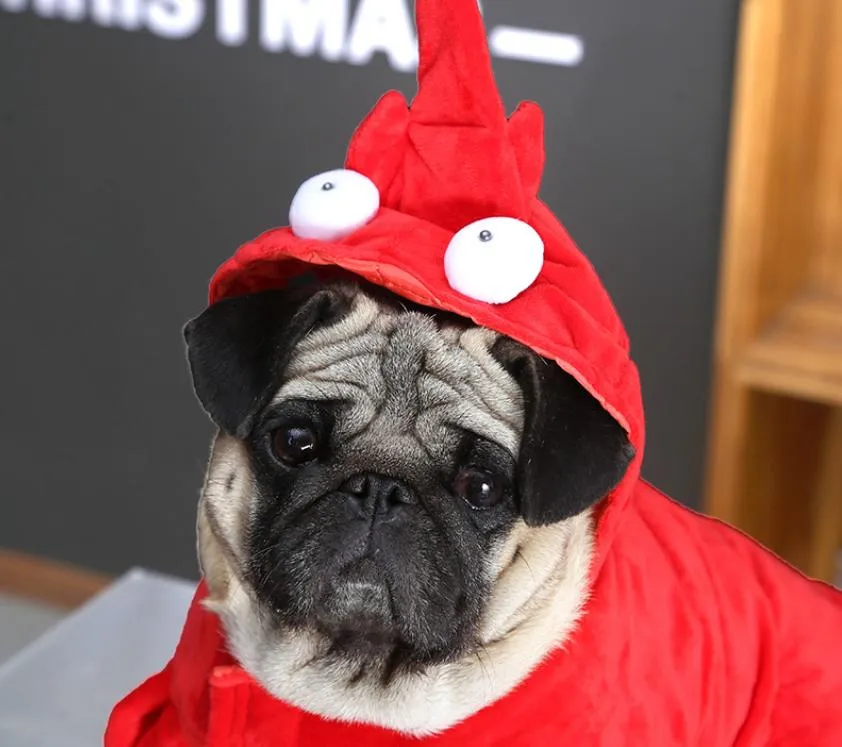 Red Transfiguration Dog Dress Up Outfits Funny Teddy Pug Bago Halloween Christmas Xmas Aolong Pet Clothes For Casual Transformations From Dexinfang 27.57 DHgate.Com