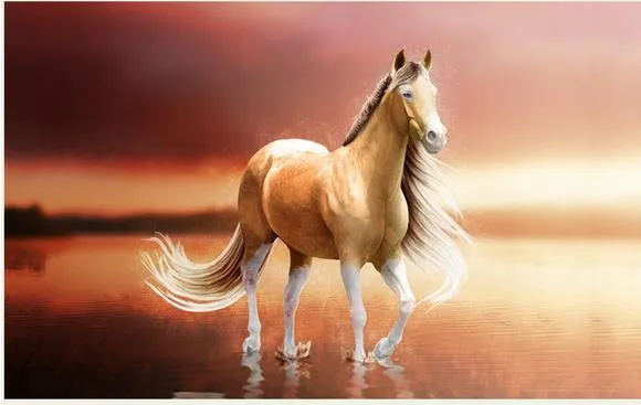 3d discount wallpaper horse