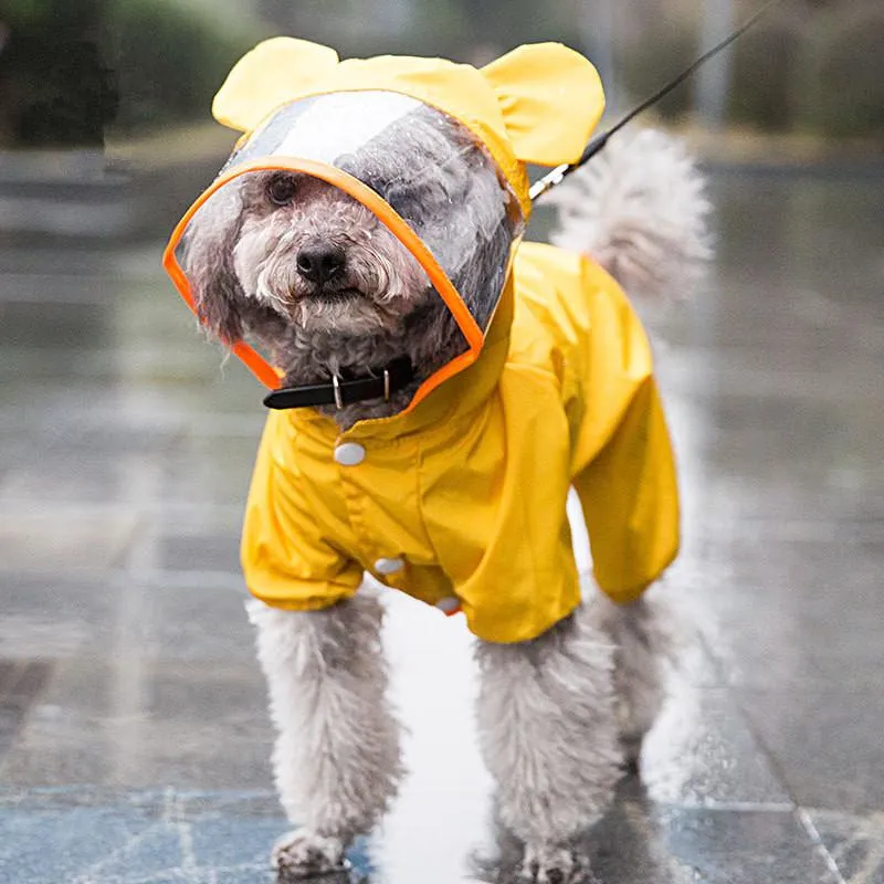 Imperméable chien imperméable extérieur respirant chien veste pour petits chiens avec capuche Transparent Pet chiot manteau de pluie fournitures pour animaux de compagnie