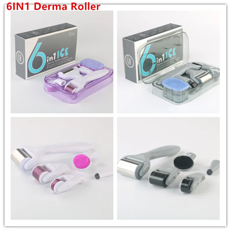 Partihandel 6in1 Derma Roller Microneedle Eyes Face Body Skin Care Ice Roller Micro Needle Dermaroller 6in1 Roller DHL Fast Ship