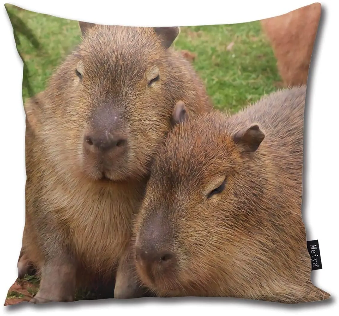 BLUETOP Capybara Love Kissenbezug, 45,7 X 45,7 Cm, Winterurlaub