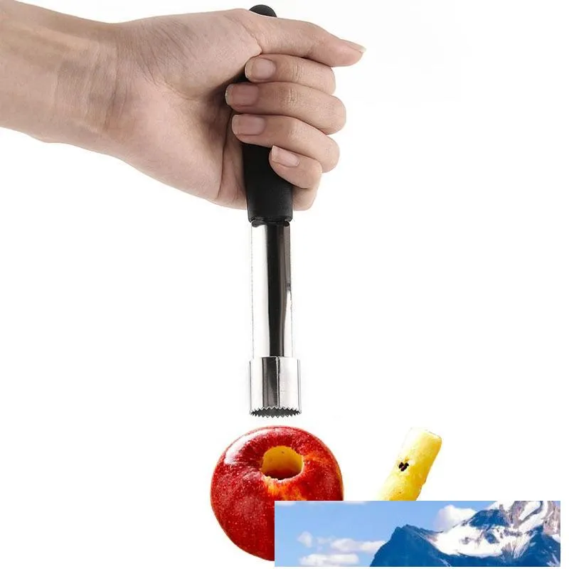 Corer Acciaio inossidabile Frutta Pera Corer Seed Remover Pitter Easy Twist Kitchen Corer Spedizione gratuita