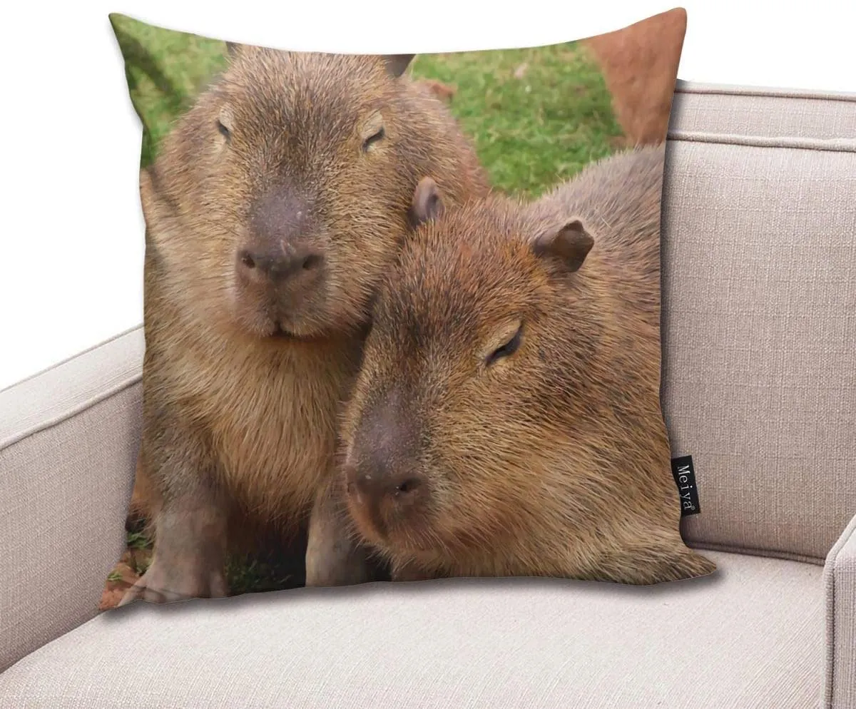 BLUETOP Capybara Love Kissenbezug, 45,7 X 45,7 Cm, Winterurlaub