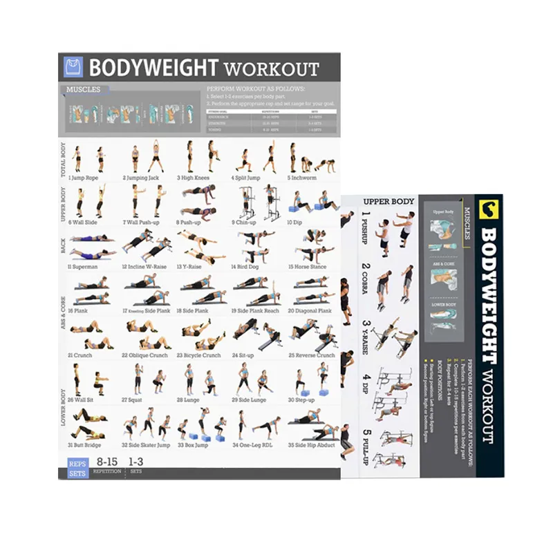 Chart Free Gym Workout Plan Full Body Gym Routine Chart Full Body