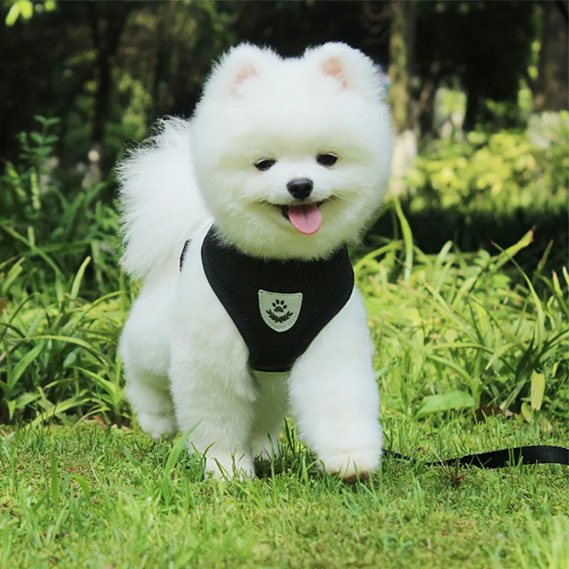 Teddy Breathable puppy chest towing dog rope Pet supplies Pet Harnesses Leashes Small Dog Collar Accessories drop ship