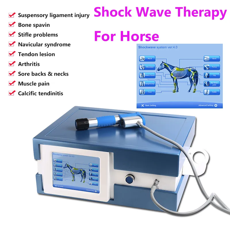 Effektiv akustisk chockvåg Vincainswave Shockwave Shockwave Therapy Machine Funktion Smärta Avlägsnande för hästbehandling