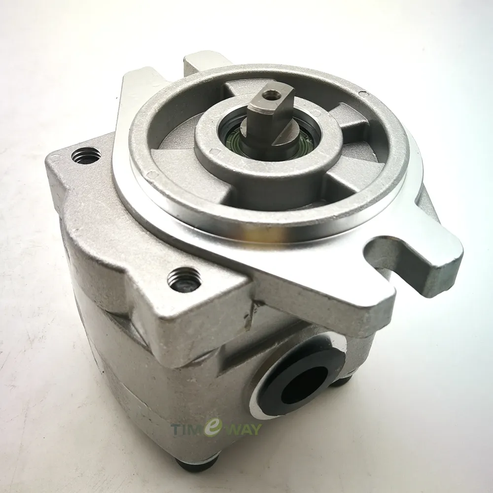 Pompa Di Carica Kit Di Riparazione Pompa Idraulica Ad Ingranaggi - Main Image