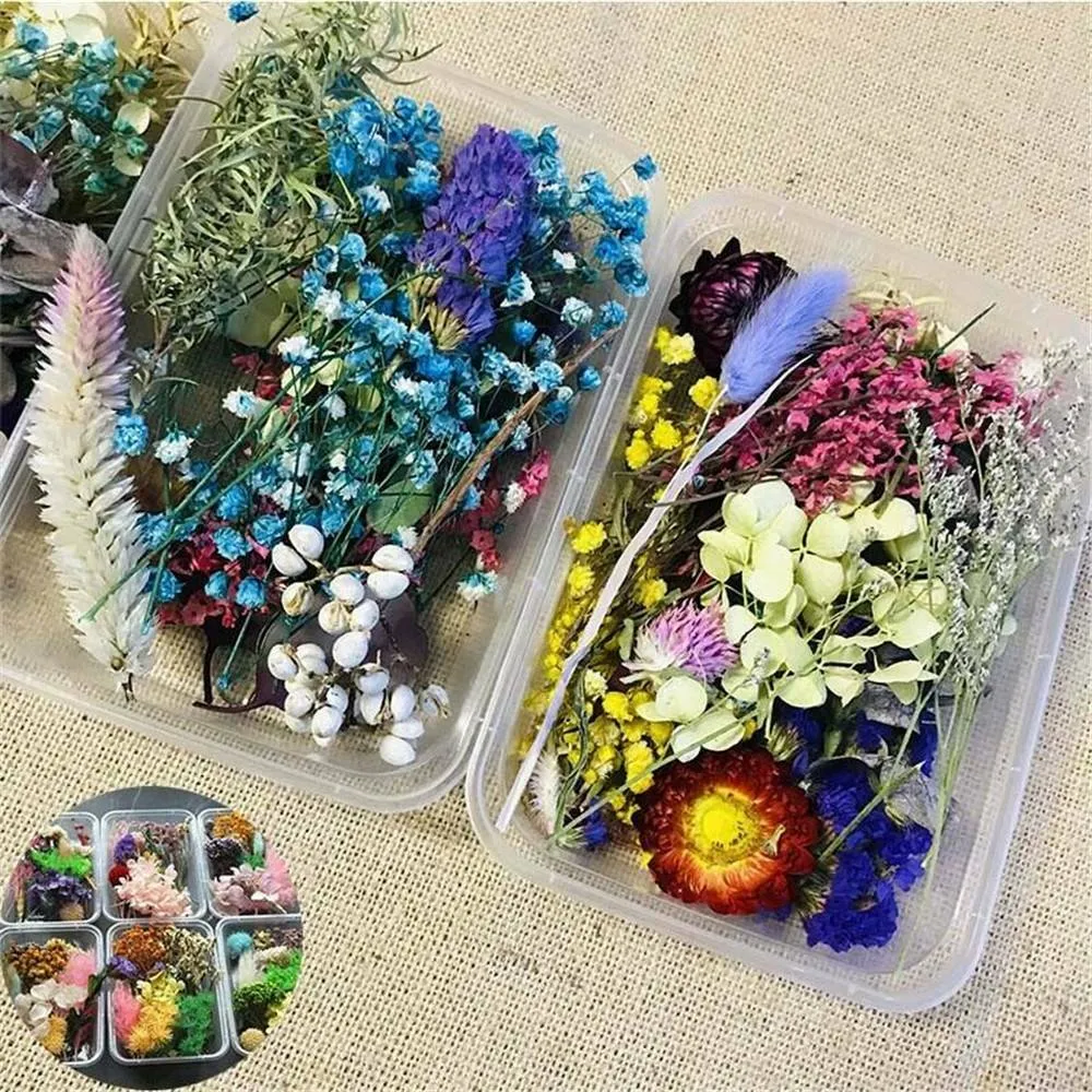 Real Pressed Dried Flower Candle Making DIY for Resin Jewelry Making Craft  Decor
