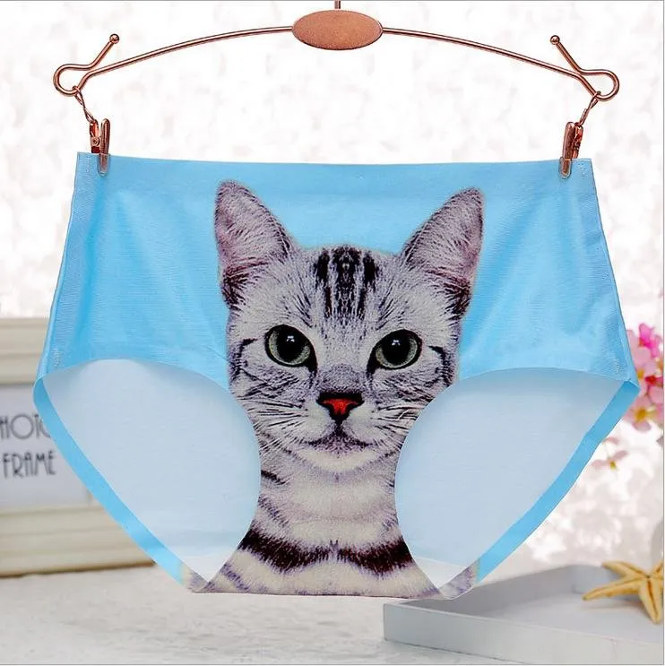 2016 3D Printed Sexy Pussy Cat Panties Pink Womens Bragas Calcinha Briefs  Culotte Femme Bragas Transparent Ladies Silk Underwear TjSP# From  Tianmuwin, $25.87