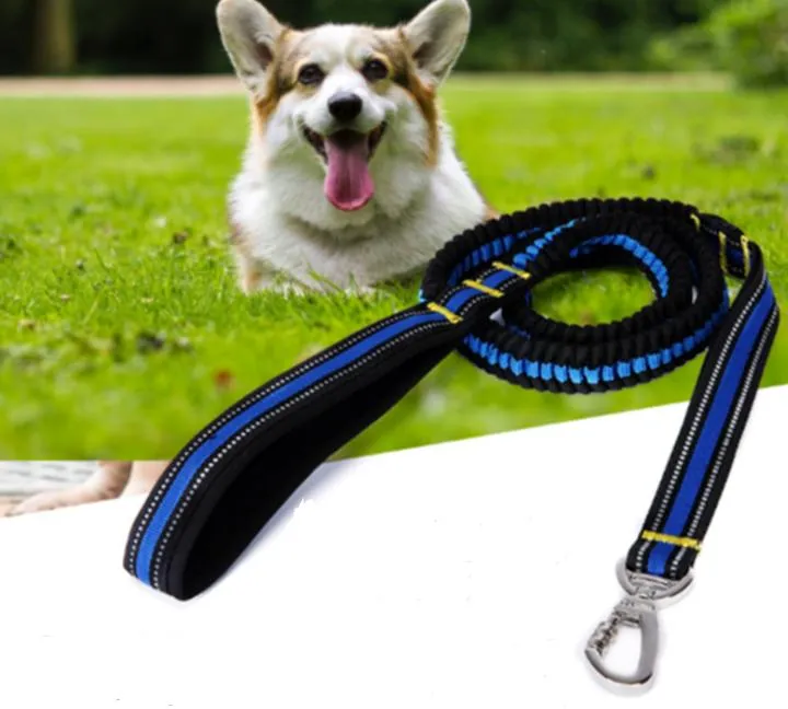 熱い販売ペット犬の高弾性牽引ロープ強いファスナーの高密度ナイロンウェビングビッグ犬特別犬のリサーズ卸売2.5 * 100-170cm