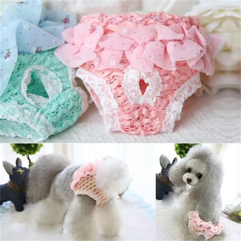 Chiffon Design Pet Dog Panties Strap Sanitary Dog Cute Underwear Sets  Diapers Lace Edge Physiological Pants Puppy Shorts From Shelly_2020, $1.04
