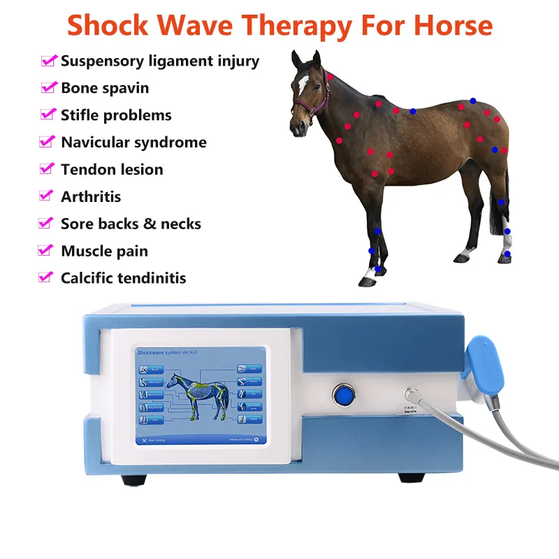آلة العلاج بالموجات الصدمية الهوائية المهنية ، آلة العلاج بالموجات الصدمية ، وتخفيف الآلام ، معدات العلاج الطبيعي لعلاج الحصان