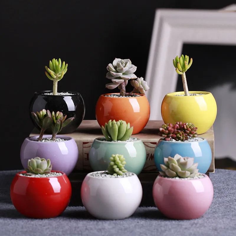 패션 세라믹 냄비 succulents 꽃 냄비 작은 공 라운드 흰색 도자기 화이트 컬러 미니 크리 에이 티브 9 색상