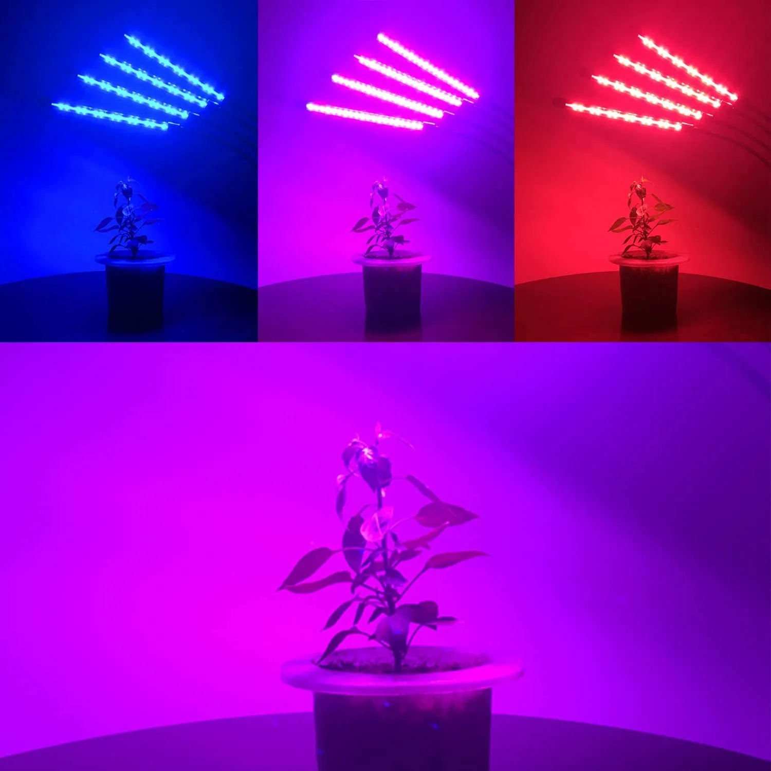 LED Grow Light 80W 4 Head Adjustable 10 Dimmable Levels Red Blue Spectrum Aluminum Gooseneck Plant Lights for Indoor Plants