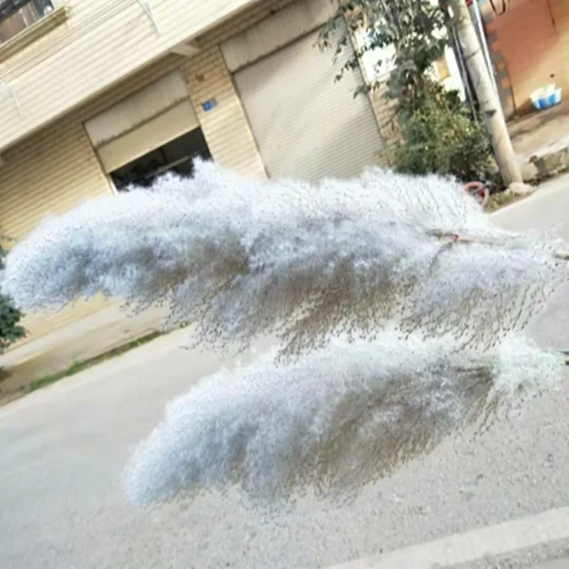 Büyük Pampas Çim Reed Kurutulmuş Çiçek Dekorasyon Gri Düğün Buket Dükkanı Ekran Pencere Dekorasyon Fotoğraf INS