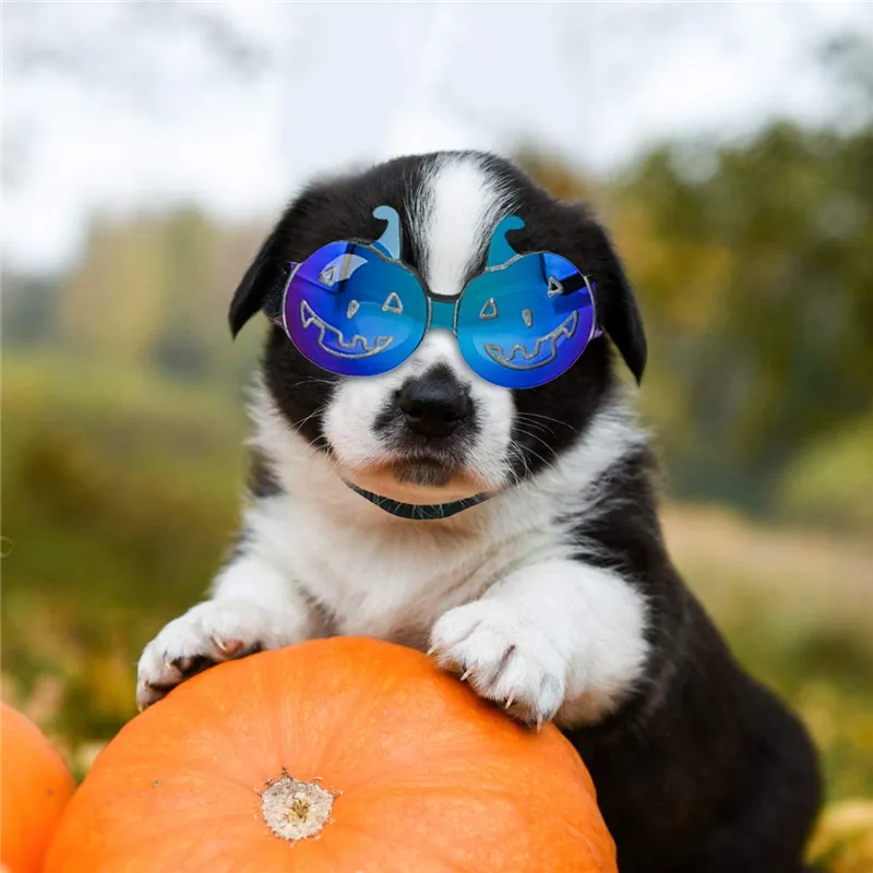 Small Dog Sunglasses impermeável à prova de vento UV Protection para Doggy gato filhote de cachorro Halloween Pet Goggles Óculos JK2009PH