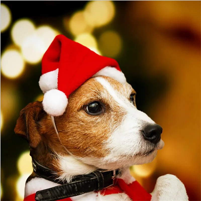 ペットサンタハットクリスマス猫犬冬暖かいぬいぐるキャップクリスマスパーティーの装飾帽子面白いかわいいペットコスプレdiy犬猫猫コスチュームの装飾