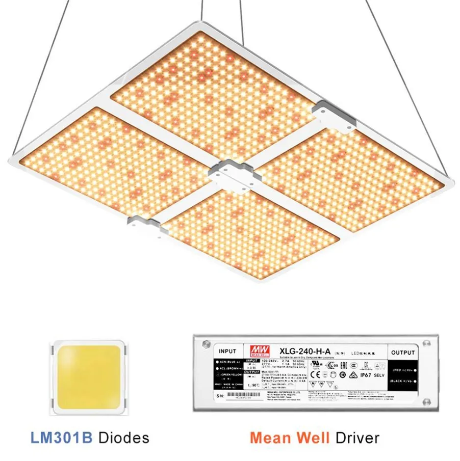 Peut choisir le gradateur de lumières LED Quantum 1000W 2000W 4000W à spectre complet avec les puces LM301B et la plantation intérieure du pilote UL Meanwell