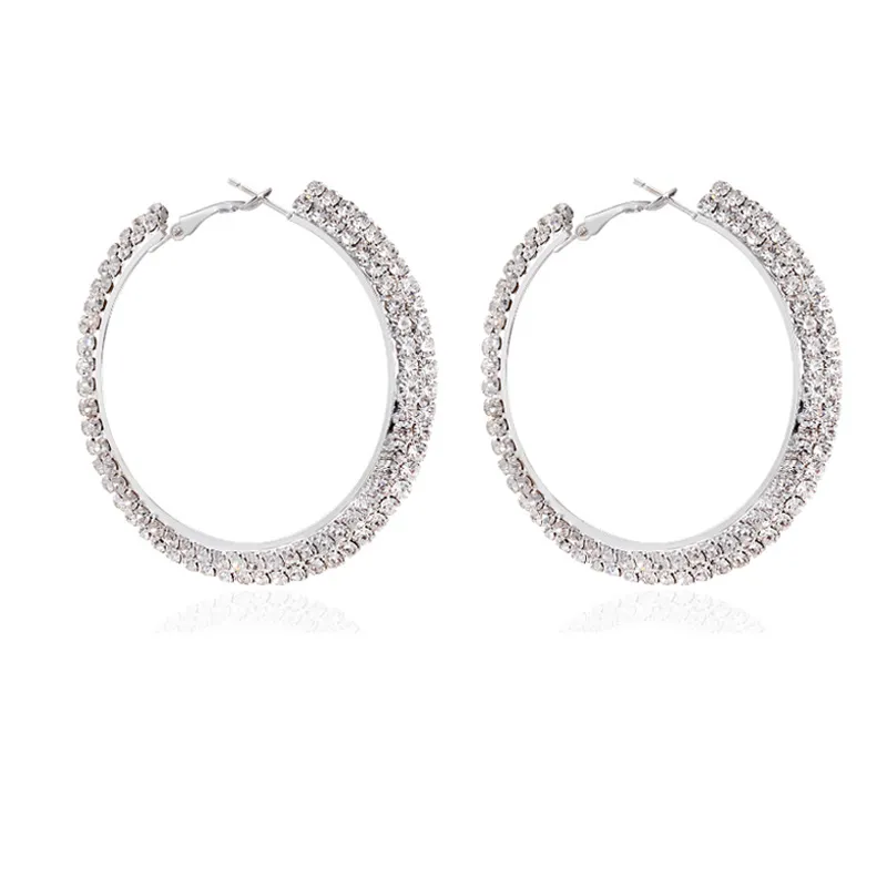 Qings Orecchini Cerchio Procione Per Donna, Argento Sterling 925 Piccoli Orecchino Cerchi Procioni, Carini Animal Ipoallergenici Hoop Huggie, Bellissimi Gioielli Regalo Di Compleanno Per Ragazza - Foto 7