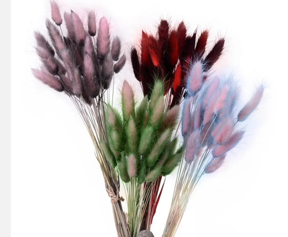 100 teile/los Natürlichen Farbverlauf Getrocknete Blumen Brautstrauß Ostern Home Dekorationen Kaninchen Schwanz Gras Ostern Dekorationen
