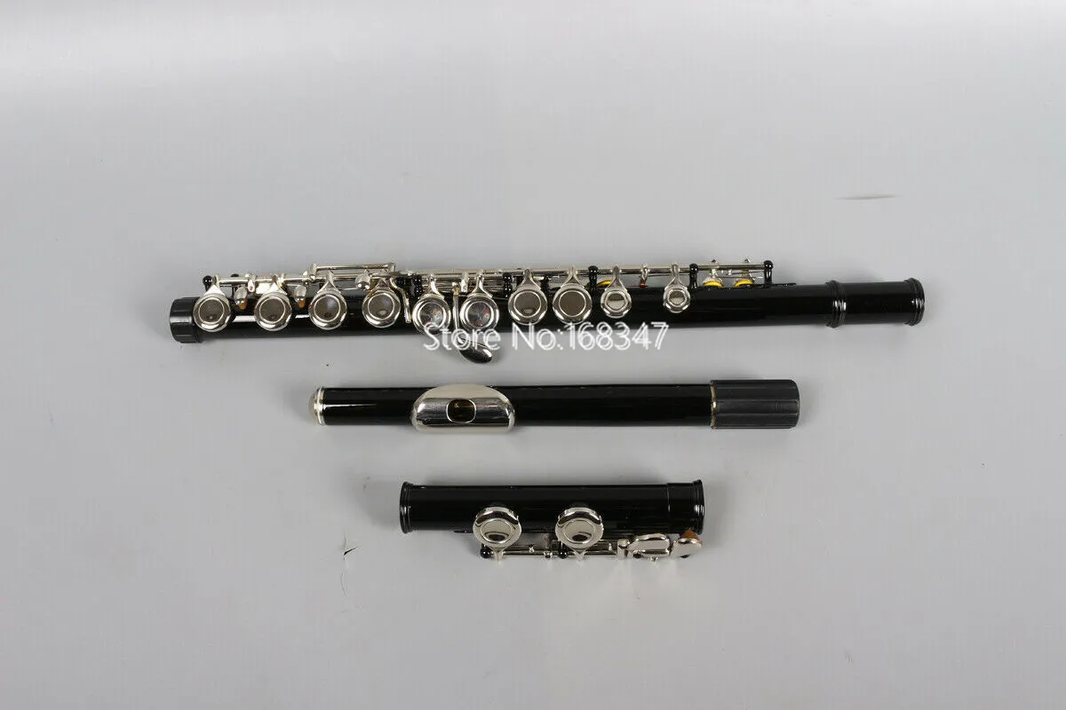 High Quality C Tone E key flute 16 hole Advance Model Close Hole nickel Key With Case Free Shipping