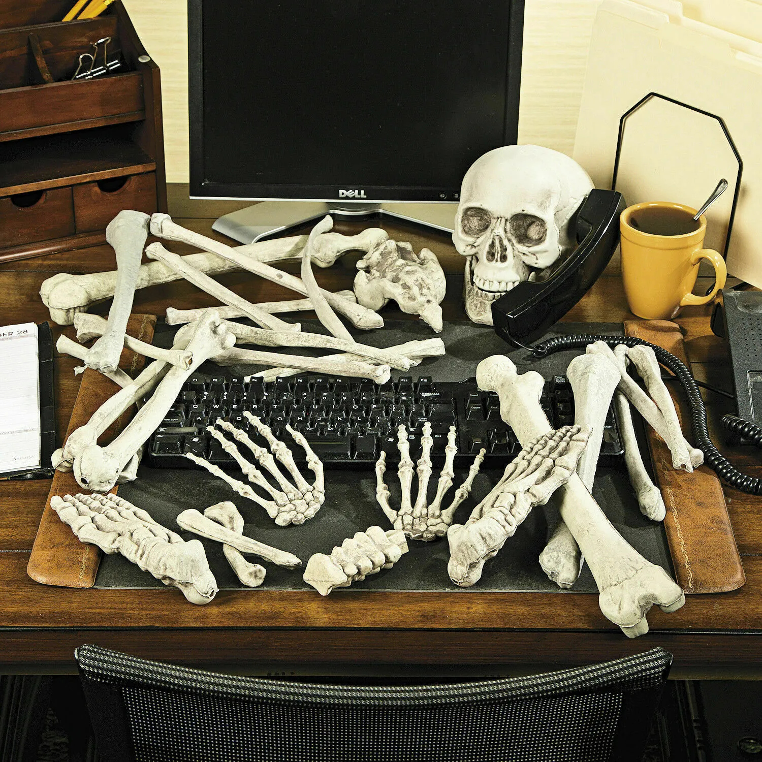28-Piece Plastic Skeleton Bones & Skull Set - Realistic Halloween Decoration For Graveyard, Haunted House & Parties - View #9