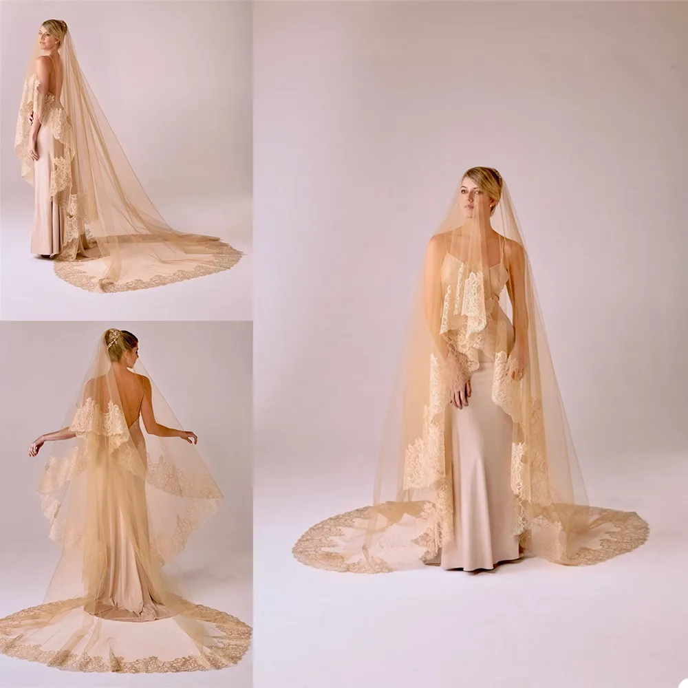 Veil for champagne deals wedding dress