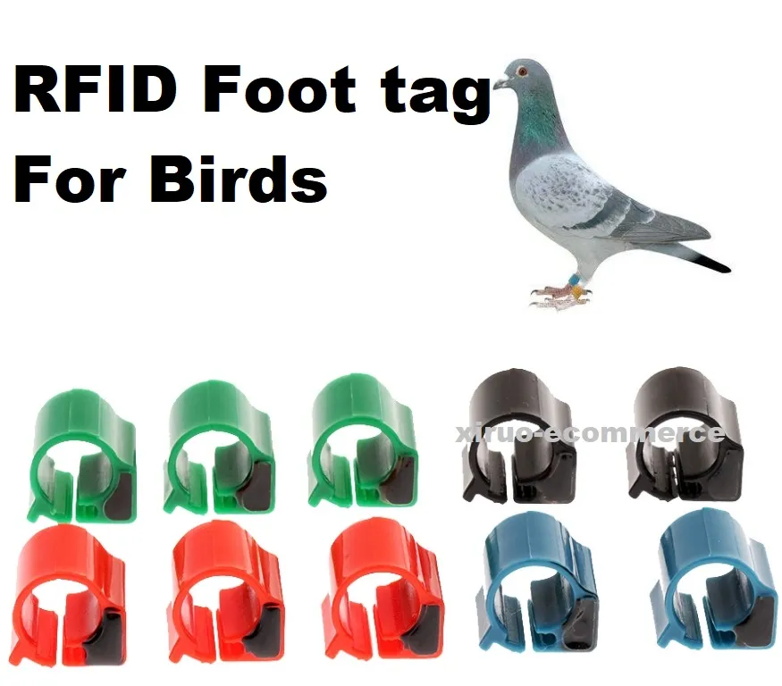 ID-kort duva fotring TK4100 ID-kort djur tagg Lågfrekvens 125kHz Pigeon fotring RFID Electronic Tag