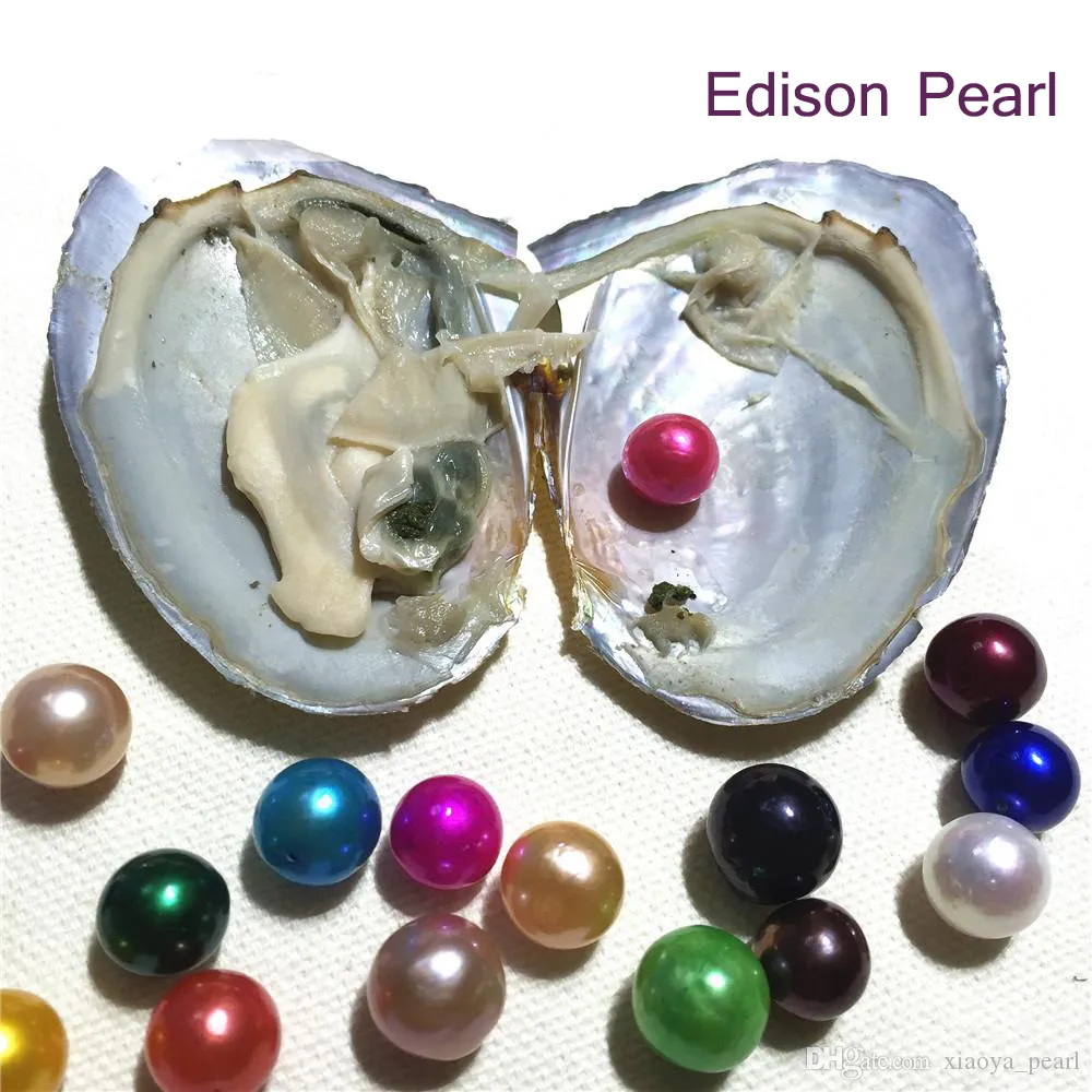 New Rainbow 9-12mm Edison pearl in Freshwater Oyster Wish Pearl Meaning Funny Birthday Gift for Women party DIY Jewellery