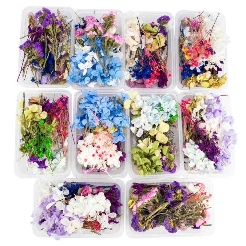 Dekoratif Çiçekler Çelenk 1 Kutu Gerçek Mix Kuru Bitkiler Yapma Zanaat DIY Aksesuarları için Kurutulmuş