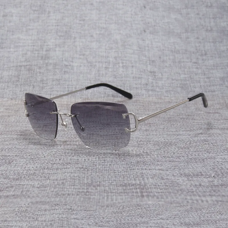 rimless sunglasses (1)