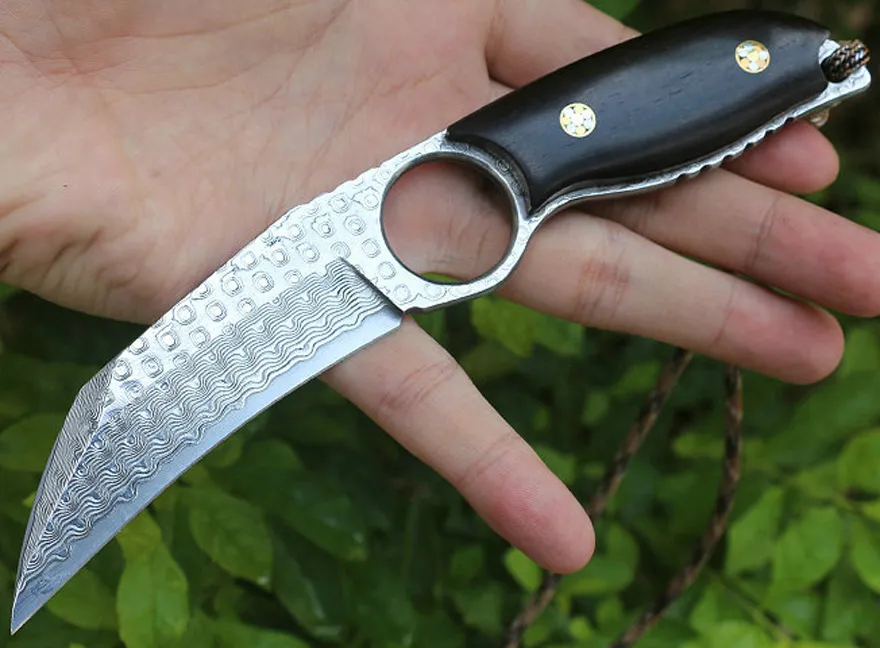 Couteau à griffes Karambit Damas haut de gamme VG10 Lame en acier Damas Full Tang Poignée en ébène Couteaux tactiques extérieurs avec gaine en cuir