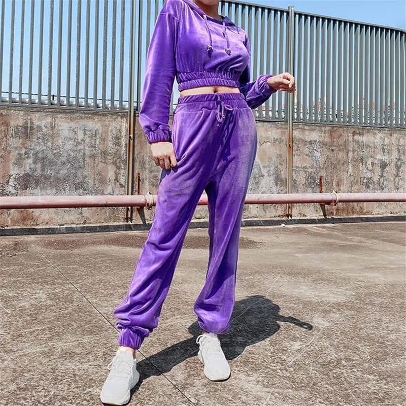 Classic Women's Long Sleeve Solid Velour Sweatsuit Set Hoodie and Pants  Sport Suits Tracksuits 