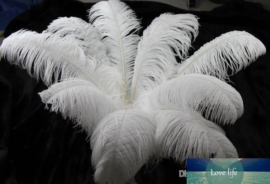 100pc 10-12 pouces 25-30cm panaches de plumes d'autruche blanches pour pièce maîtresse de mariage décor d'événement de fête de mariage décoration de fête