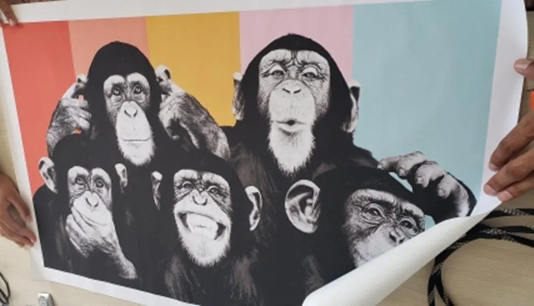 Macacos Engraçados Pinturas Em Tela De Grafite Na Parede Pôsteres E  Impressões Animais Modernos Arte Da Parede Fotos Em Tela Crianças Decoração  Do Quarto De $138,77