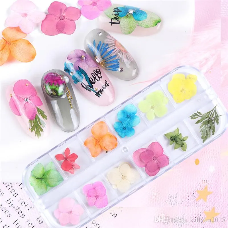 Dried Flowers Nail Art Decorations Natural Dry Floral Leaf Stickers Multi Color 3D Nail Art Designs Sticker Polish Manicure Tool Set