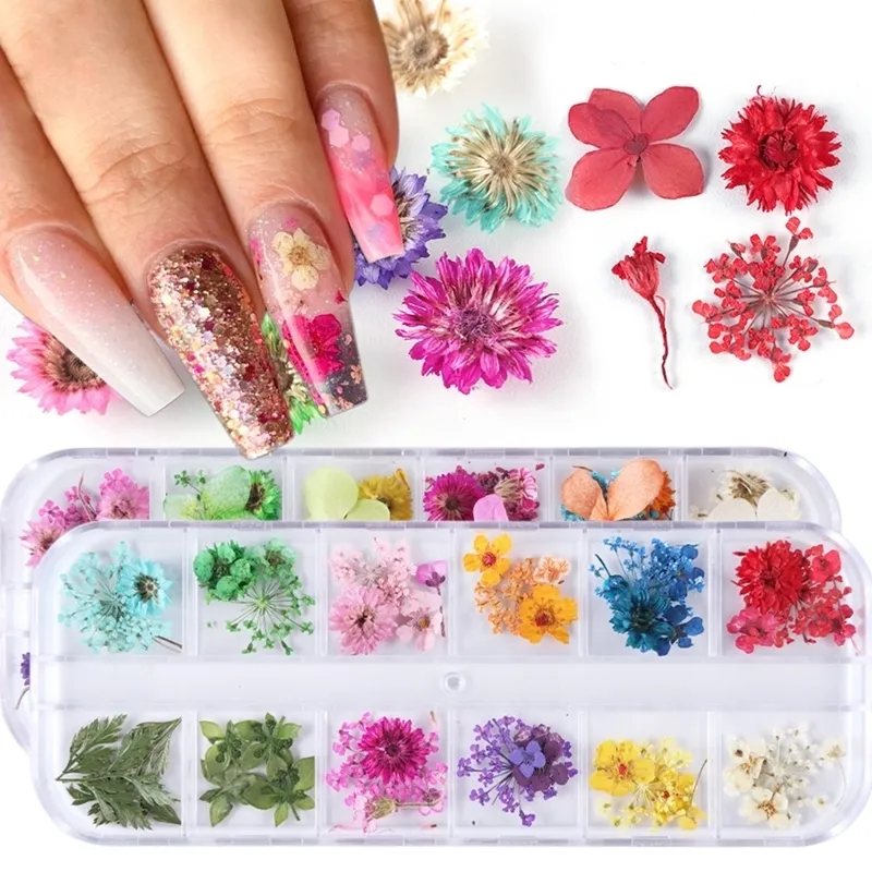 Torkade blommor Nail Art Decorations Natural Dry Floral Leaf Stickers Multi Color 3D Nail Art Designs Sticker Polish Manicure Tool Set