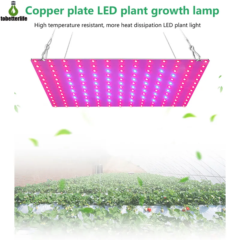 LED Plant Grow Light Full Spectrum Red & Blue 12W... From Tobetterlife ...