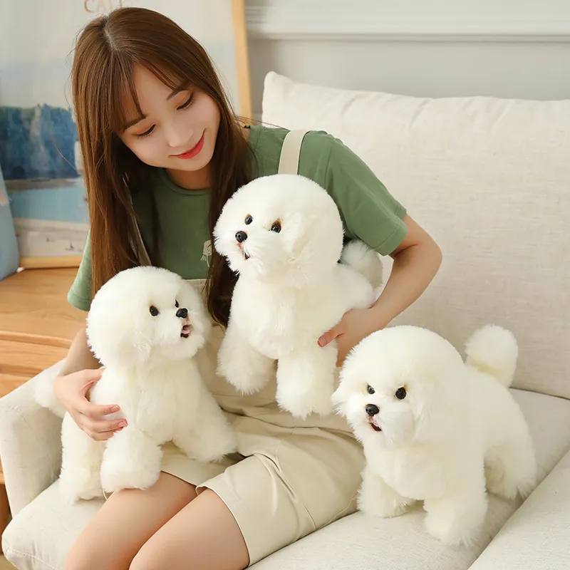 Högkvalitativ simulering Bichon Frise Dog Plush Toy Fylld Korea LifeLike Pomeranian Dog Puppy Leksaker Heminredning Barn Brithday LJ201126