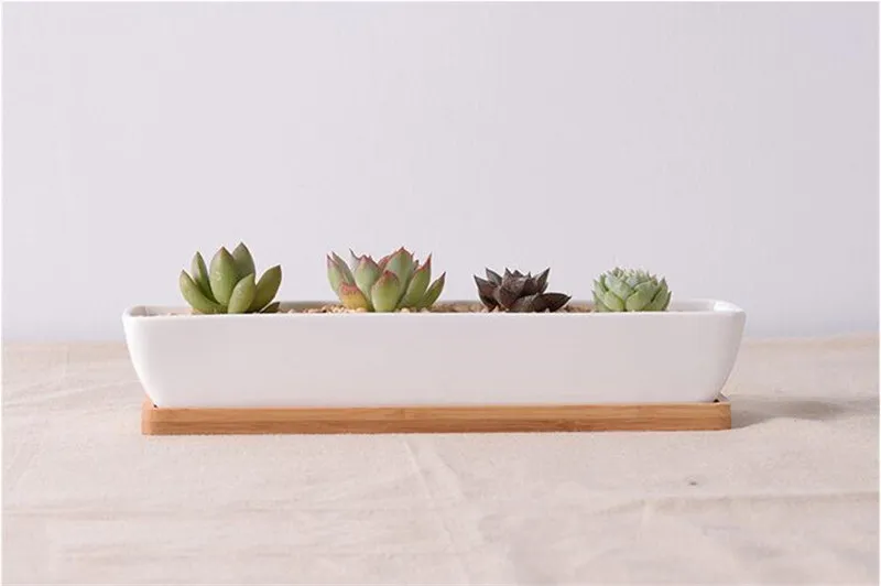 Modern Simple White Ceramic Succulents Plants Planter With BambooTray Green Plant Pots Desktop Decor Bonsai Landscape Flowerpot03