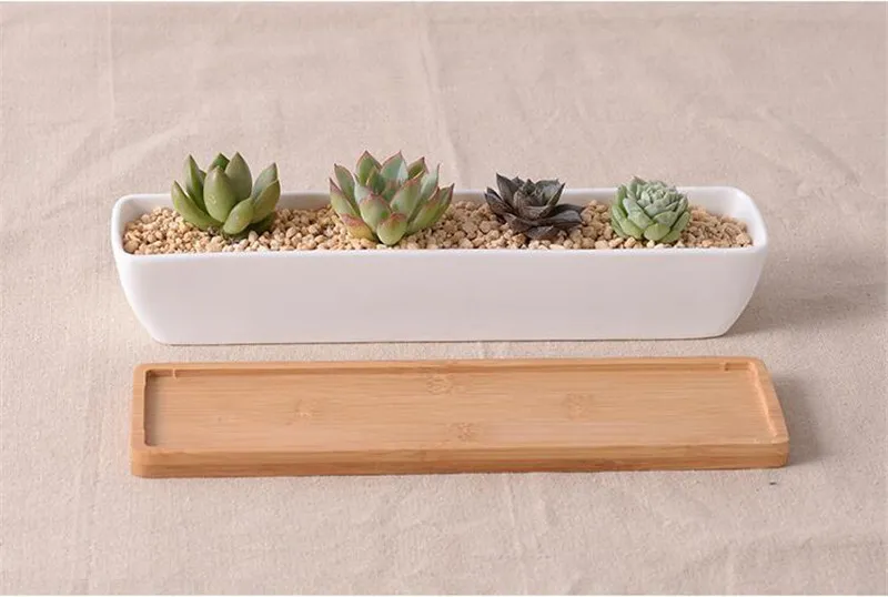 Modern Simple White Ceramic Succulents Plants Planter With BambooTray Green Plant Pots Desktop Decor Bonsai Landscape Flowerpot05