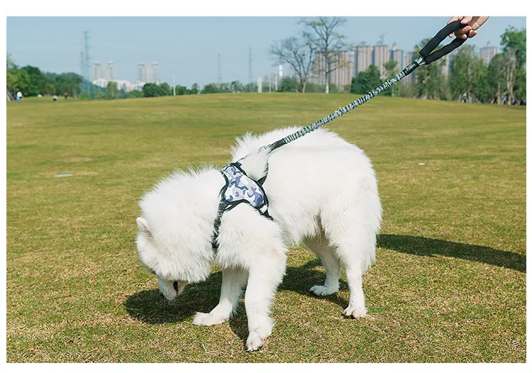 MySudui Retractable Dog Leash Nylon Rope Running Bungee Extendable Dog Leads Pet Leashe For Dog Strap Pitbull Greyhound Dropship (1)