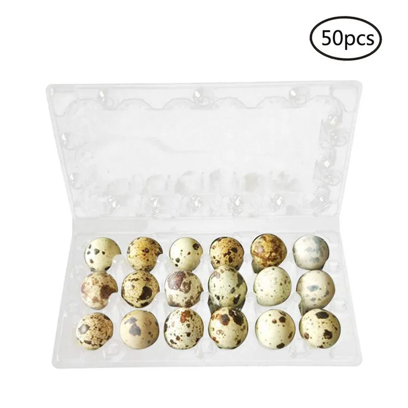 50 pcs 12/15/18 grades codornas de embalagem de ovos de armazenamento organizador descartável caixa de armazenamento de PVC caixa transparente dipenser de ovos u3 c0116
