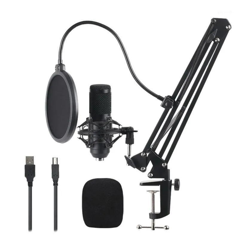 Studio Recording Condenser Microphone Kit for Network Broadcasting Online Singing1