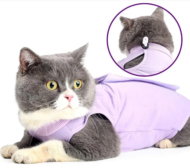 Fournitures pour chats Costume de récupération chirurgicale pour chats pour plaies abdominales chirurgicales Vêtements d'intérieur pour animaux de compagnie Collier électronique Alternative Chaton après chirurgie Pyjama Costumes