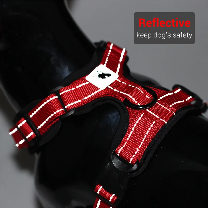 Dog Harness Vest (8)